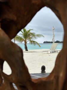 View through a driftwood looking glass at the beautiful Indian Ocean in the Maldives.